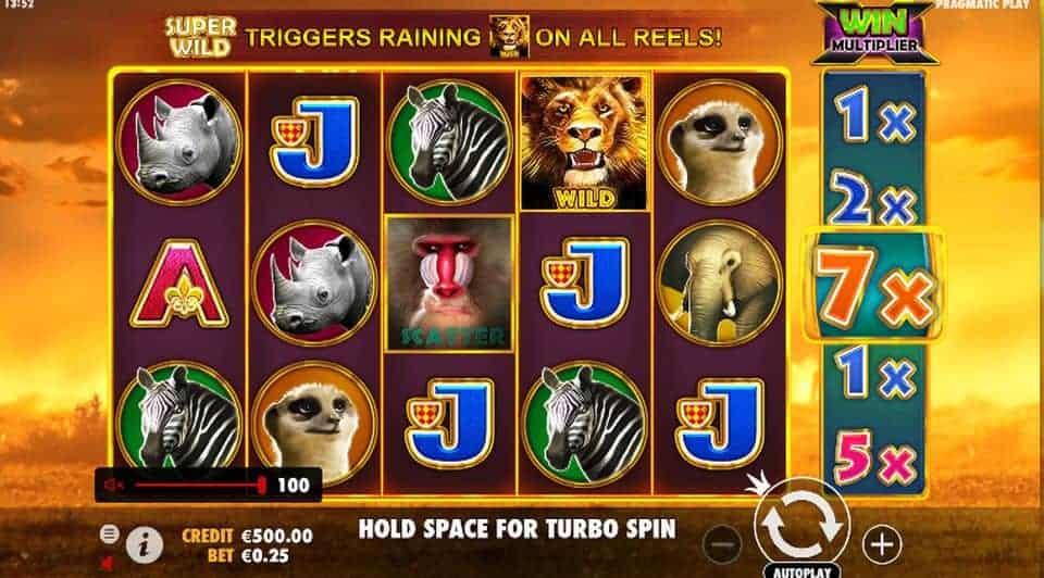 Hot Safari Jelajah Alam Liar Penuh Warna dan Kejutan Unik